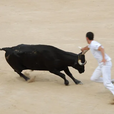 Maison L'authentique 펜션