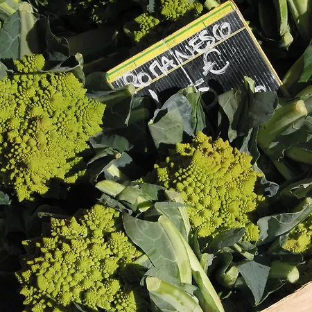 Maison L'authentique La Capelle-et-Masmolene