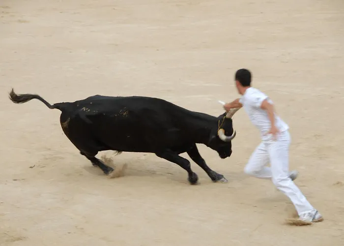 Maison L'authentique Hébergement de vacances