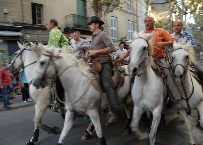 Hébergement de vacances Maison L'authentique *