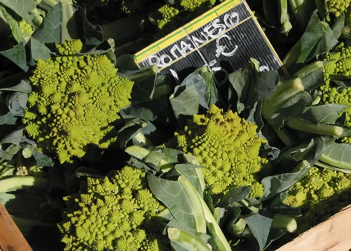 Maison L'authentique La Capelle-et-Masmolene